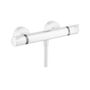 Термостат для душа Hansgrohe Ecostat Comfort, 13116700