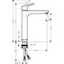 Смеситель для раковины Hansgrohe Focus 230, нет сливного, 31532000