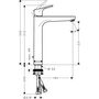 Смеситель для умывальника Hansgrohe Focus, 31531000