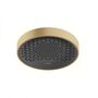 Верхний душ Hansgrohe Rainfinity 250, EcoSmart, шлифованная бронза, 26229140