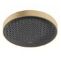 Верхний душ Hansgrohe Rainfinity 360, 1jet, шлифованая бронза, 26231140