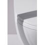 Унитаз с функцией биде Laufen Cleanet Riva Shower WC, матовый