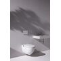 Унитаз с функцией биде Laufen Cleanet Riva Shower WC, матовый