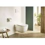 Унитаз подвесной Roca Meridian Rimless Compacto 36x48, белый, 7346244000