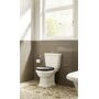 Сиденье с крышкой для унитаза Roca Carmen, темно-серая, soft close, 7801B5238B
