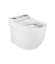 Чаша для унитаза Roca Meridian-N 36x60, горизонт выпуск, 7342248000