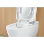 Унитаз-биде Villeroy&Boch ViClean, V0E100R1