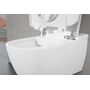 Унитаз-биде Villeroy&Boch ViClean, V0E100R1