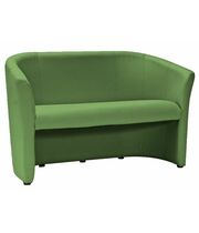 Диван SIGNAL TM-2 EK-11 зеленый